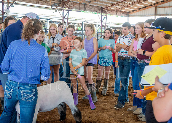 2024-07-10 LCF Livestock Judging #1 - LB-13