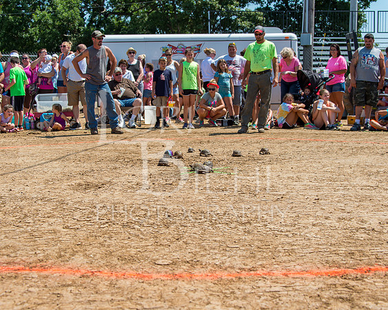 20160716-DSC_5068