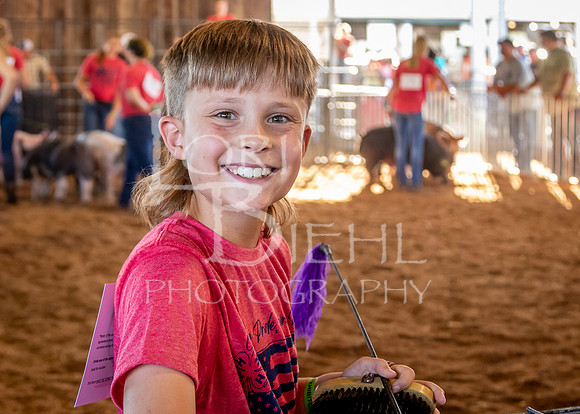 2022-07-12 LCF Jr. Swine Show #1-LB-73