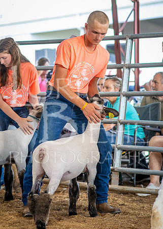 2024-07-10 LCF Jr. Sheep Show #1 - CH-26