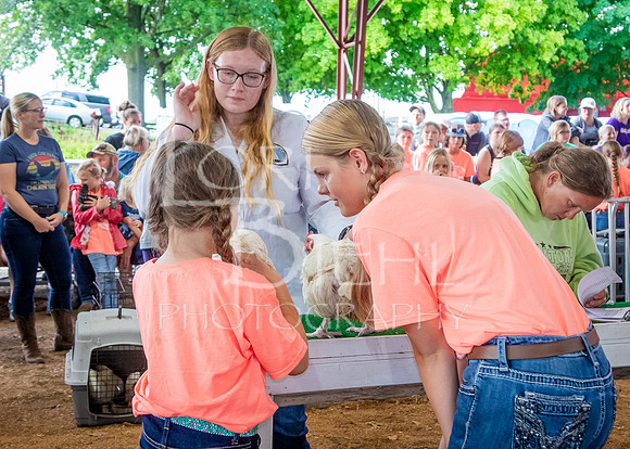 2024-07-08 LCF Jr. Poultry Show #1 - LB-6