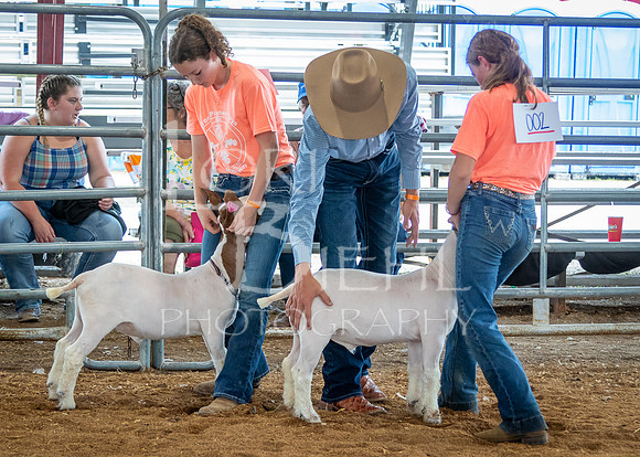 2024-07-10 LCF Jr. Goat Show #1 - LB-56