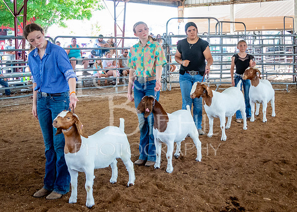 2024-07-12 LCF Open Breeding Goat Show #1 - LB-200