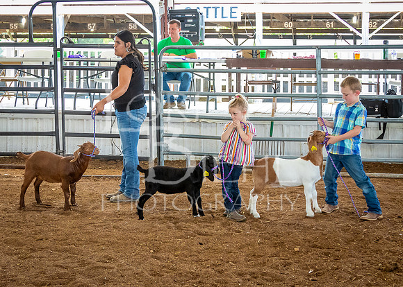 2024-07-12 LCF Open Breeding Goat Show #1 - LB-22