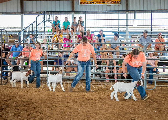 2024-07-10 LCF Jr. Goat Show #1 - LB-62