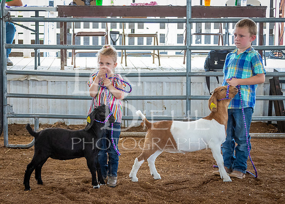 2024-07-12 LCF Open Breeding Goat Show #1 - LB-8
