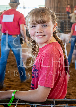 2022-07-12 LCF Jr. Swine Show #1-LB-31
