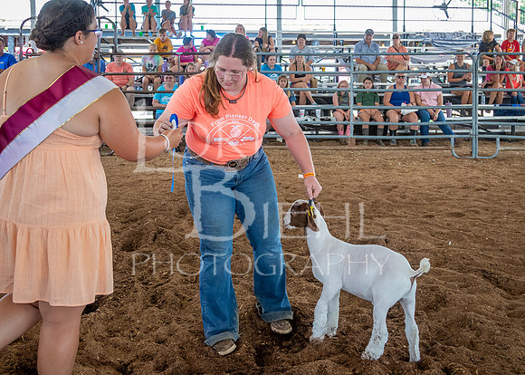 2024-07-10 LCF Jr. Goat Show #1 - LB-38