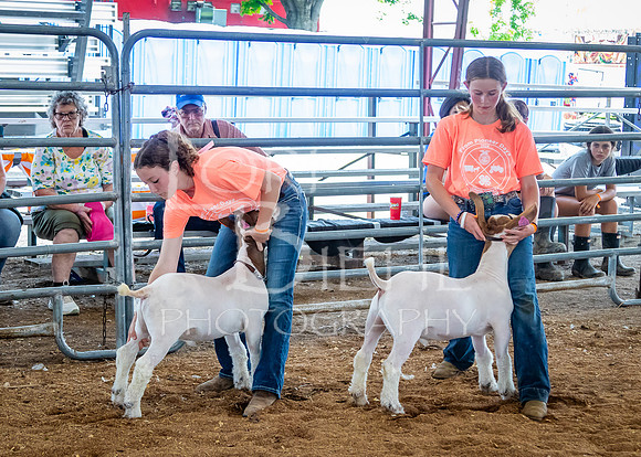 2024-07-10 LCF Jr. Goat Show #1 - LB-51