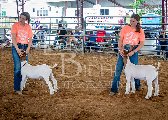 2024-07-10 LCF Jr. Goat Show #1 - LB-60