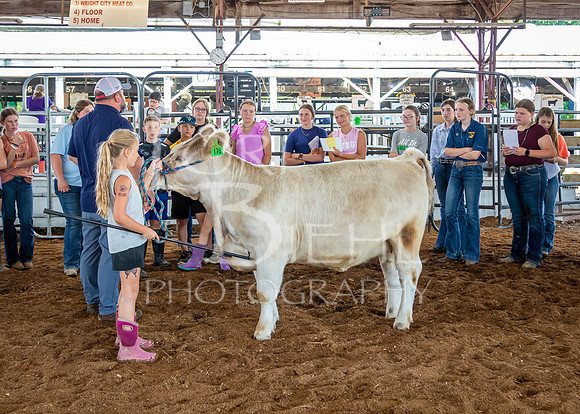 2024-07-10 LCF Livestock Judging #1 - LB-34