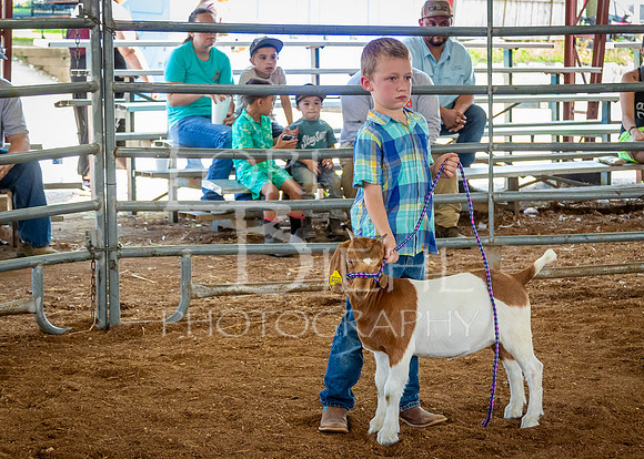 2024-07-12 LCF Open Breeding Goat Show #1 - LB-31
