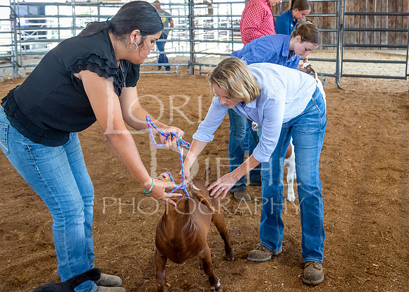 2024-07-12 LCF Open Breeding Goat Show #1 - LB-19