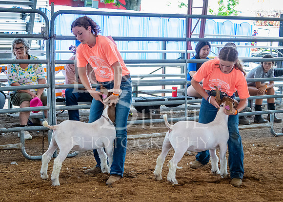 2024-07-10 LCF Jr. Goat Show #1 - LB-50