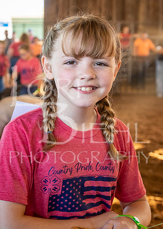 2022-07-12 LCF Jr. Swine Show #1-LB-96