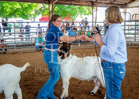 2024-07-12 LCF Open Breeding Goat Show #1 - LB-256