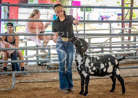 2024-07-12 LCF Open Breeding Goat Show #1 - LB-149