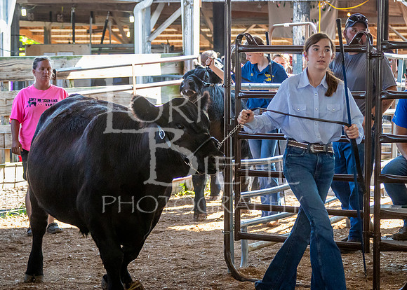 2024-07-10 LCF Master Showmanship #1 - LB-8