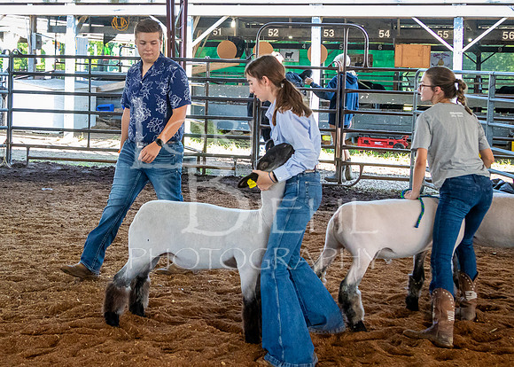 2024-07-10 LCF Master Showmanship #1 - LB-4