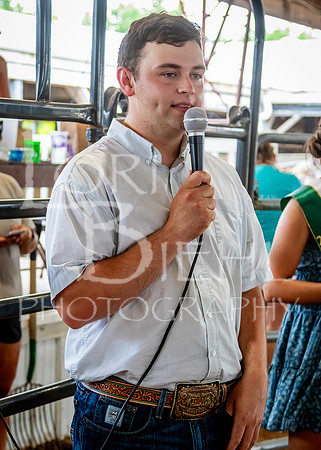 2024-07-12 LCF Open Breeding Cattle Show #1 - LB-86