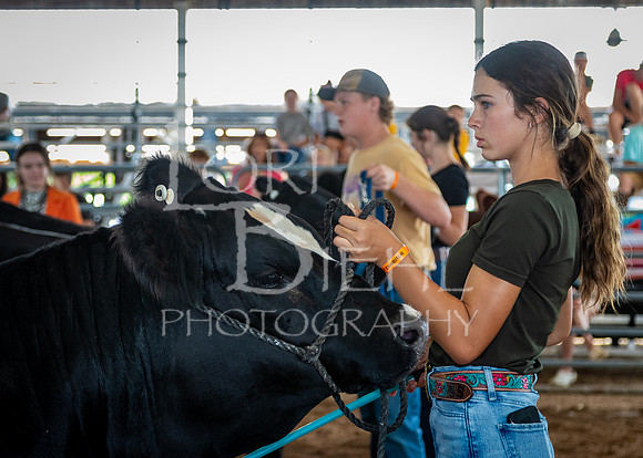 2024-07-11 LCF Jackpot Steer Show #1 - LB-29