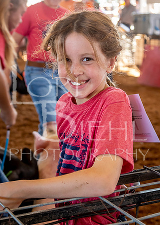 2022-07-12 LCF Jr. Swine Show #1-LB-49