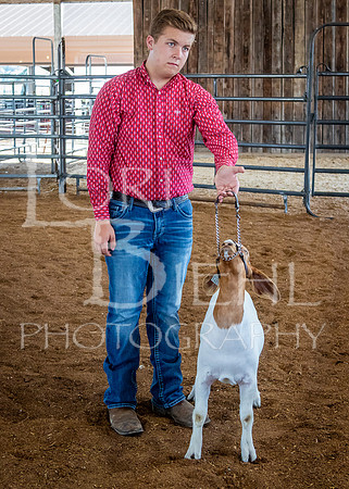 2024-07-12 LCF Open Breeding Goat Show #1 - LB-30