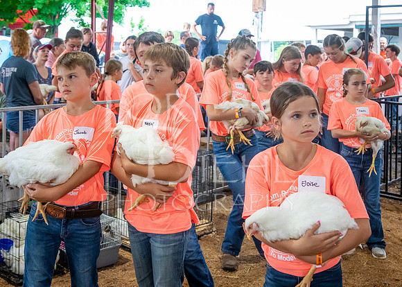 2024-07-08 LCF Jr. Poultry Show #1 - LB-15