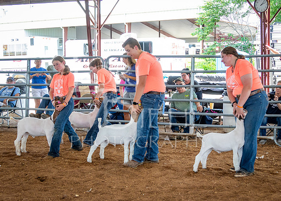 2024-07-10 LCF Jr. Goat Show #1 - LB-67