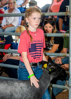 2022-07-13 LCF Jr. Lamb Show #1-LB-25