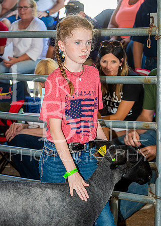 2022-07-13 LCF Jr. Lamb Show #1-LB-25