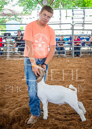 2024-07-10 LCF Jr. Goat Show #1 - LB-48