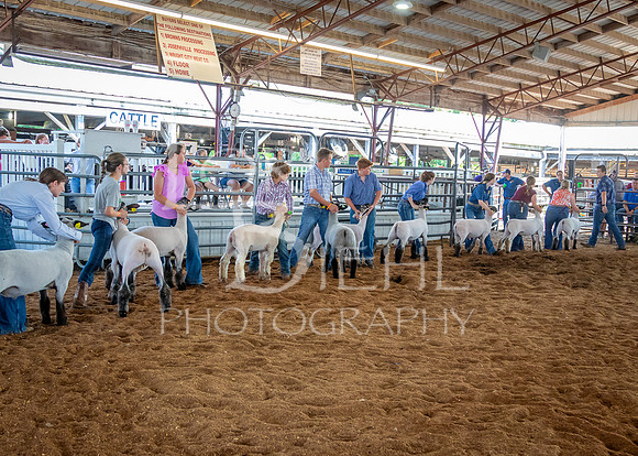 2024-07-10 LCF Master Showmanship #1 - LB-2