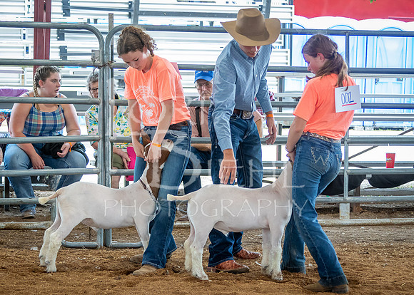2024-07-10 LCF Jr. Goat Show #1 - LB-57