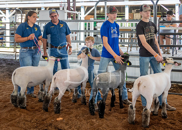 2024-07-10 LCF Livestock Judging #1 - LB-1