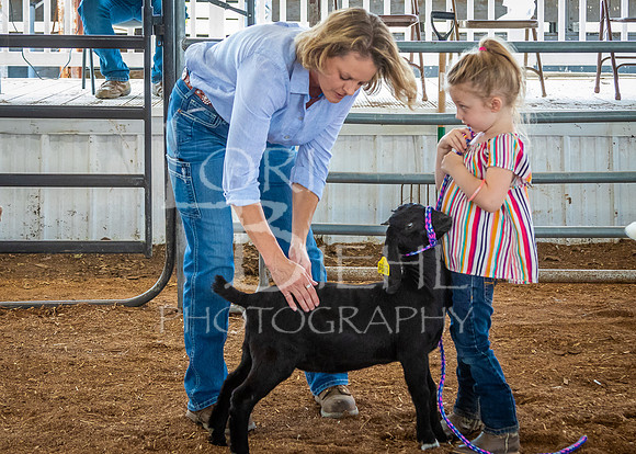 2024-07-12 LCF Open Breeding Goat Show #1 - LB-16