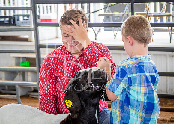 2024-07-12 LCF Open Breeding Goat Show #1 - LB-161