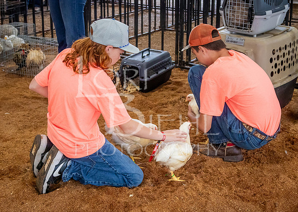 2024-07-08 LCF Jr. Poultry Show #1 - LB-25