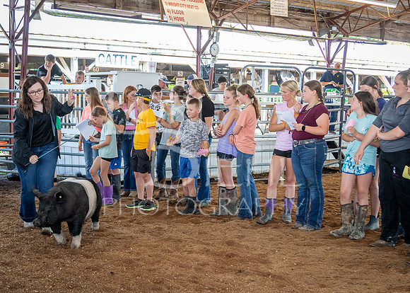 2024-07-10 LCF Livestock Judging #1 - LB-58