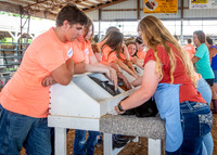 2024-07-08 LCF Jr. Rabbit Show #1 - LB-10