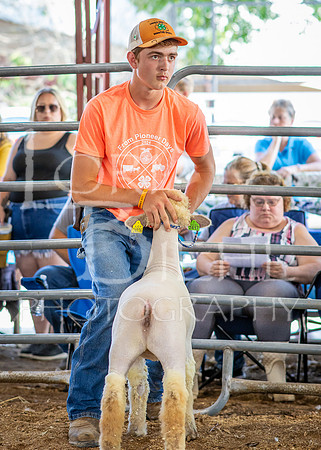 2024-07-10 LCF Jr. Sheep Show #1 - CH-28