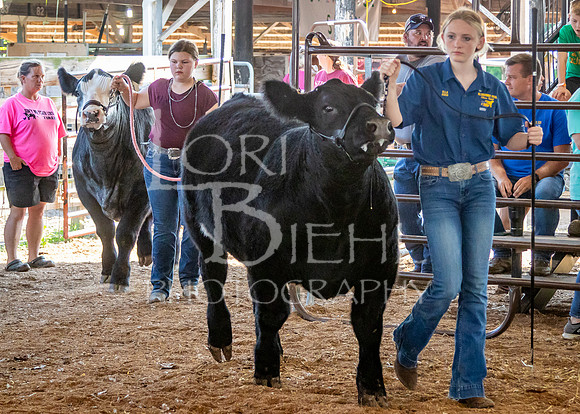 2024-07-10 LCF Master Showmanship #1 - LB-9