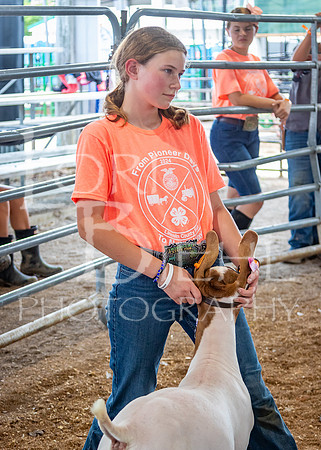 2024-07-10 LCF Jr. Goat Show #1 - LB-53