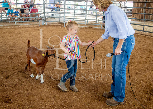 2024-07-12 LCF Open Breeding Goat Show #1 - LB-110