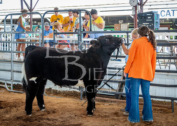 2024-07-11 LCF Jackpot Steer Show #1 - LB-16