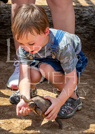 2022-07-16 LCF Frog & Turtle Races #1-LB-13